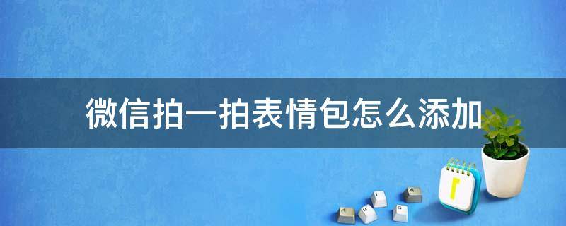 微信拍一拍表情包怎么添加 微信怎么使用拍一拍功能加表情