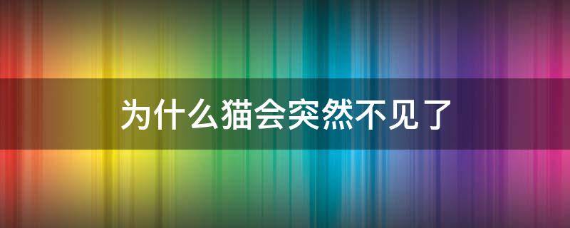 为什么猫会突然不见了 猫突然不见了预示什么