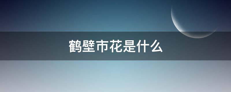 鹤壁市花是什么（鹤岗的市花是什么）