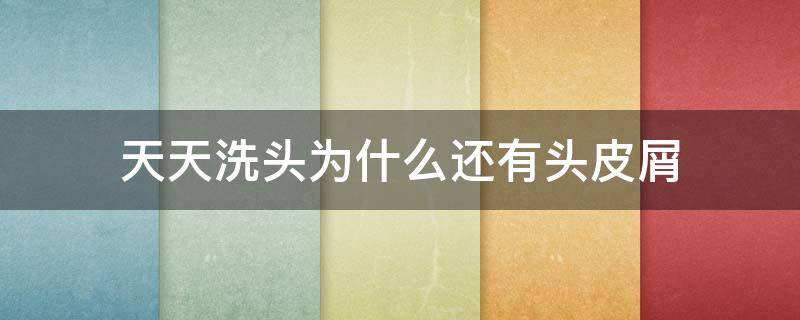 天天洗头为什么还有头皮屑 天天洗头为什么还有头皮屑?