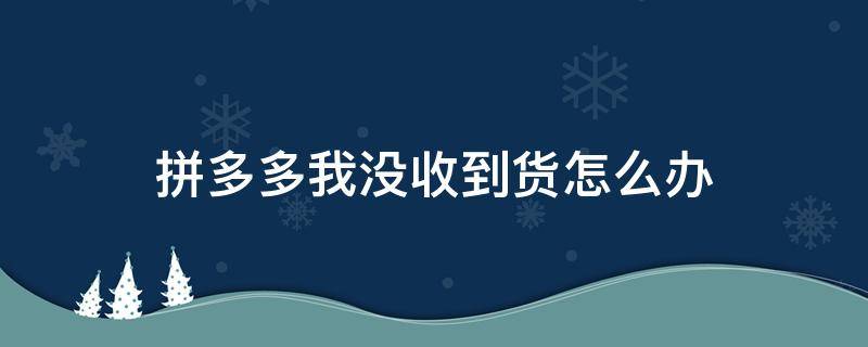 拼多多我没收到货怎么办（拼多多一直没有收到货怎么办）