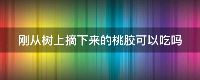 刚从树上摘下来的桃胶可以吃吗 刚从树上摘下来的桃胶可以吃吗视频