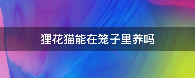 狸花猫能在笼子里养吗 狸花猫能不能家养