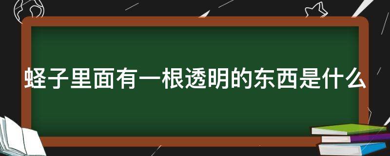 蛏子里面有一根透明的东西是什么 蛏子里面有一根透明的东西是什么意思