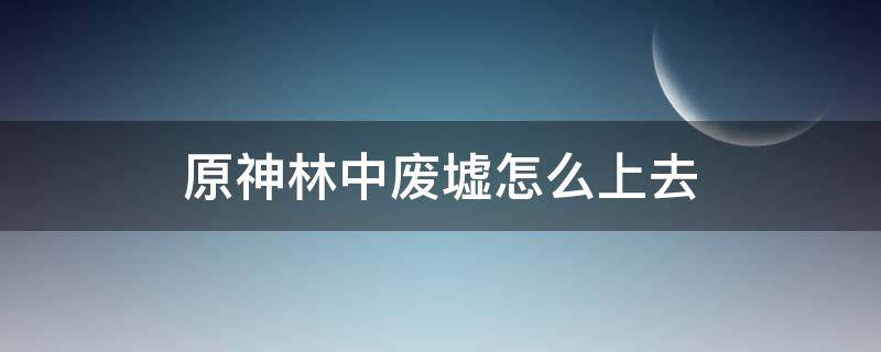 原神林中废墟怎么上去（原神林中废墟怎么飞过去）