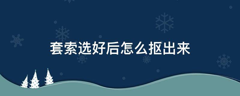 套索选好后怎么抠出来（套索选好后怎么抠出来保存）