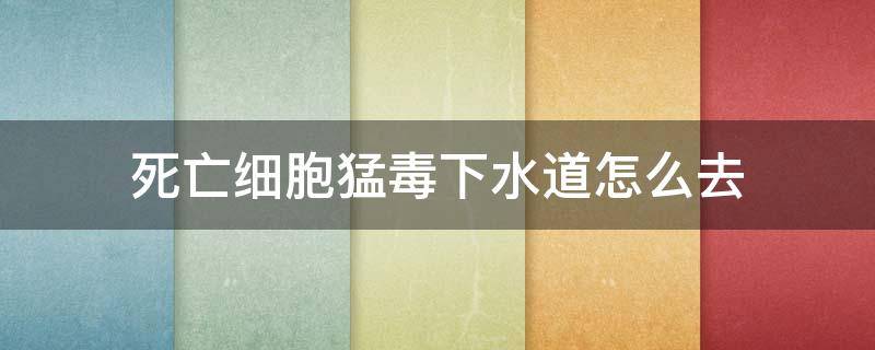 死亡细胞猛毒下水道怎么去 死亡细胞猛毒下水道可以去哪