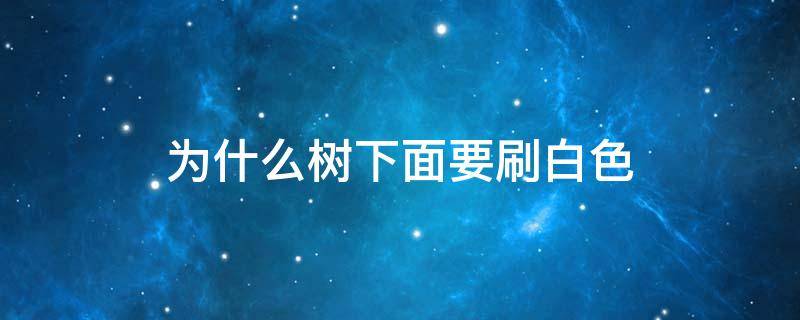 为什么树下面要刷白色（为什么树下面要刷白色上面不刷）