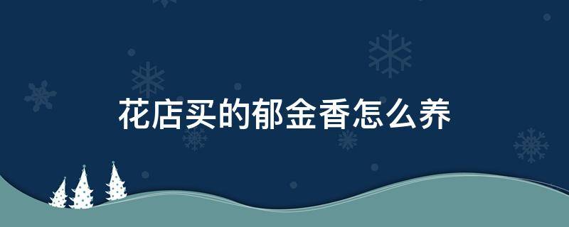 花店买的郁金香怎么养 花店买的郁金香怎么养时间比较久