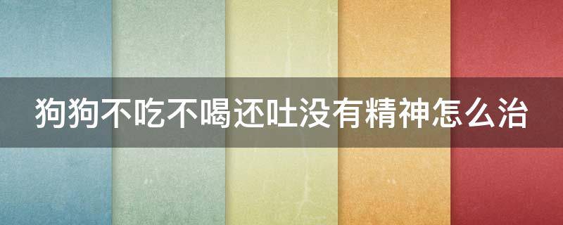 狗狗不吃不喝还吐没有精神怎么治（我家狗狗不吃不喝没精神怎么回事还呕吐了）