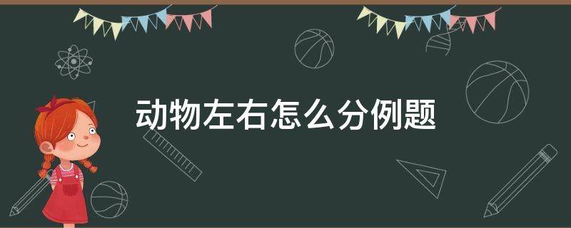 动物左右怎么分例题（动物前后左右怎么做题）