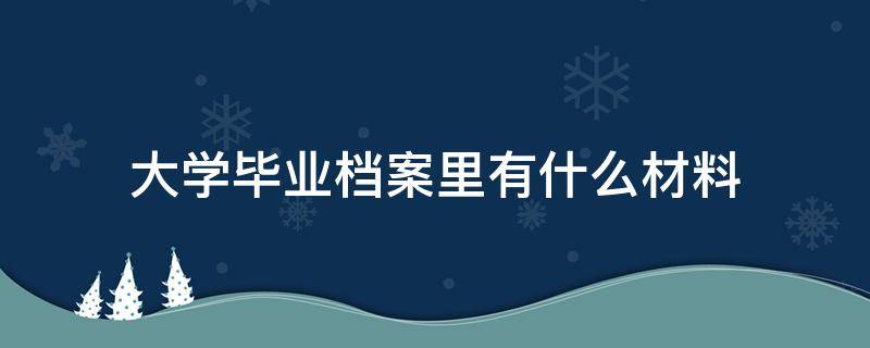 大学毕业档案里有什么材料（大学毕业个人档案里面都有什么资料）