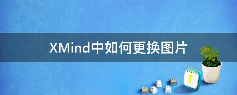 XMind中如何更换图片（xmind怎么变成图片）