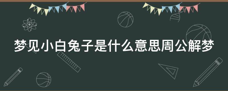 梦见小白兔子是什么意思周公解梦 梦见小白兔子是什么意思周公解梦女人