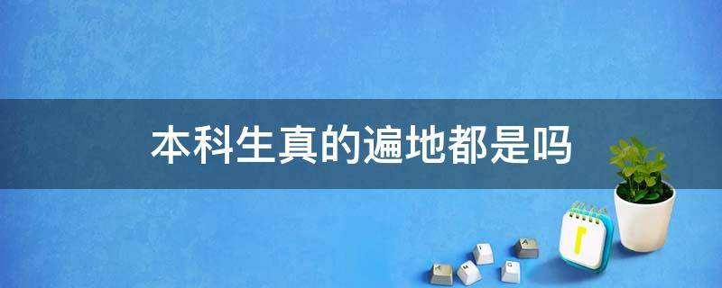 本科生真的遍地都是吗 为什么感觉遍地都是本科生