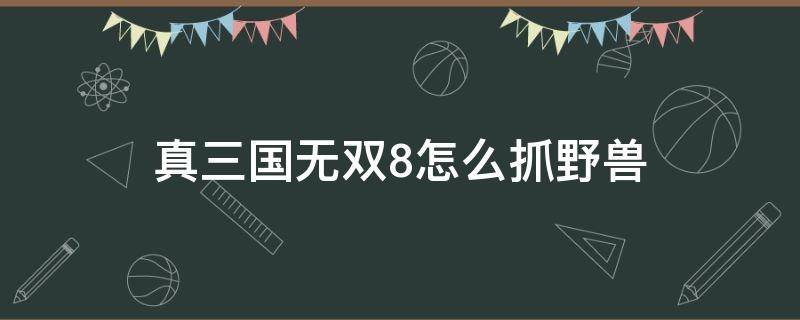 真三国无双8怎么抓野兽 真三国无双8怎么抓动物