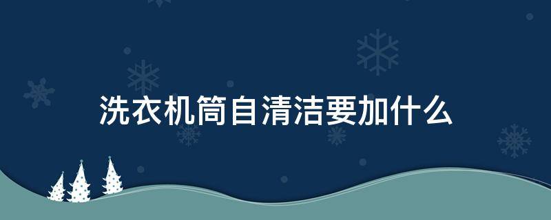 洗衣机筒自清洁要加什么（滚筒洗衣机筒自洁要加什么）