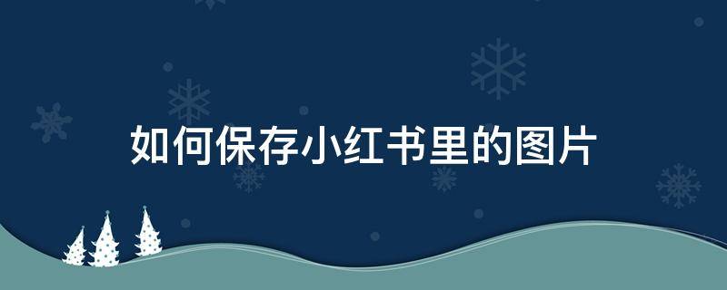 如何保存小红书里的图片（怎样保存小红书里的图片）