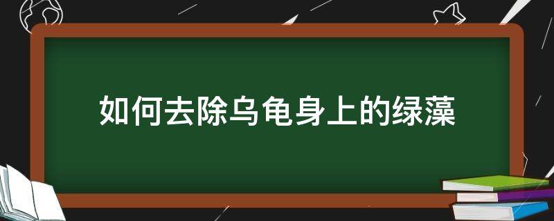 如何去除乌龟身上的绿藻 乌龟身上水藻怎么去除