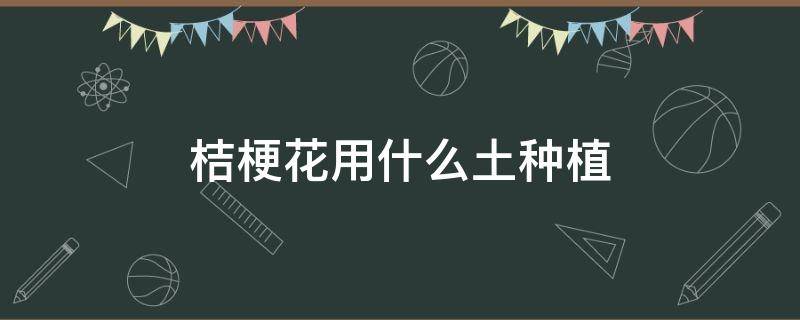 桔梗花用什么土种植 桔梗花适合什么土壤