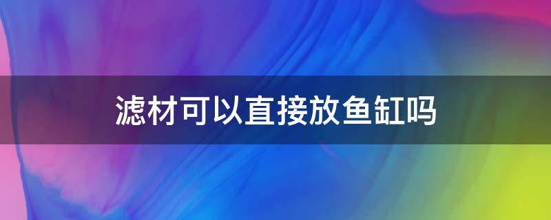 滤材可以直接放鱼缸吗 新买的滤材可以直接放鱼缸吗