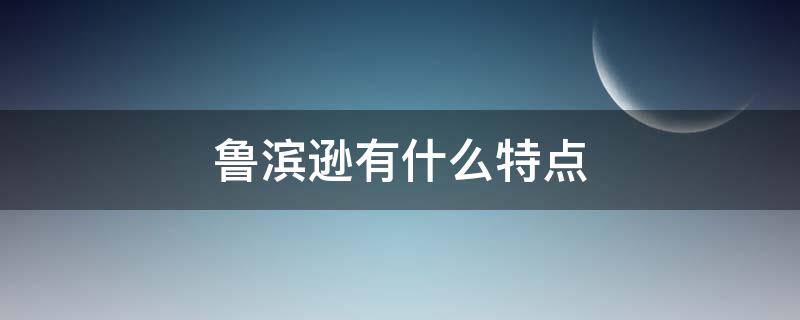 鲁滨逊有什么特点 鲁滨逊漂流记的鲁滨逊有什么特点