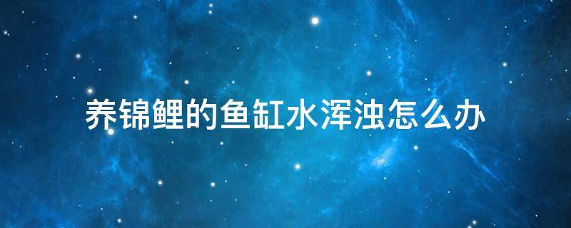 养锦鲤的鱼缸水浑浊怎么办（锦鲤鱼缸水浑浊原因和解决方案）