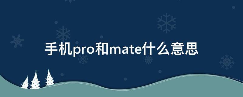 手机pro和mate什么意思 matepro跟pro+有什么区别