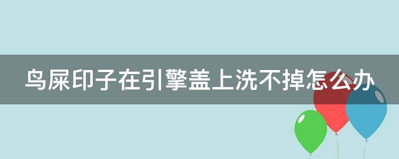 鸟屎印子在引擎盖上洗不掉怎么办 鸟屎的印记在车上擦不下来