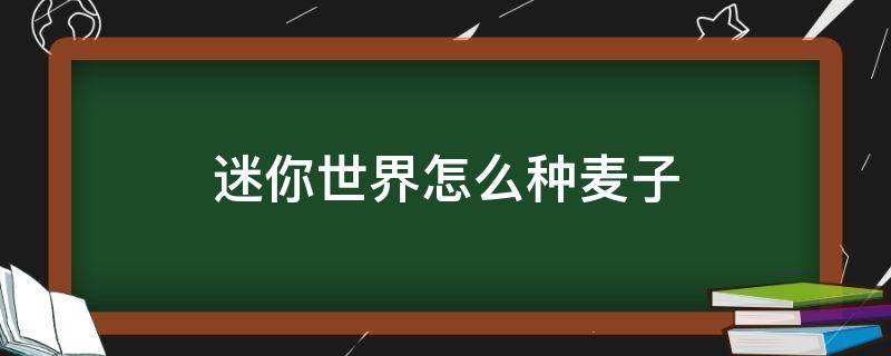 迷你世界怎么种麦子（新版迷你世界怎么种麦子）