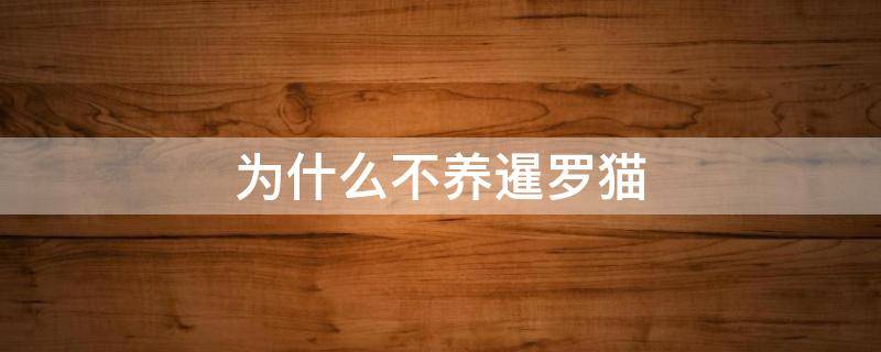 为什么不养暹罗猫 为什么猫舍不养暹罗猫