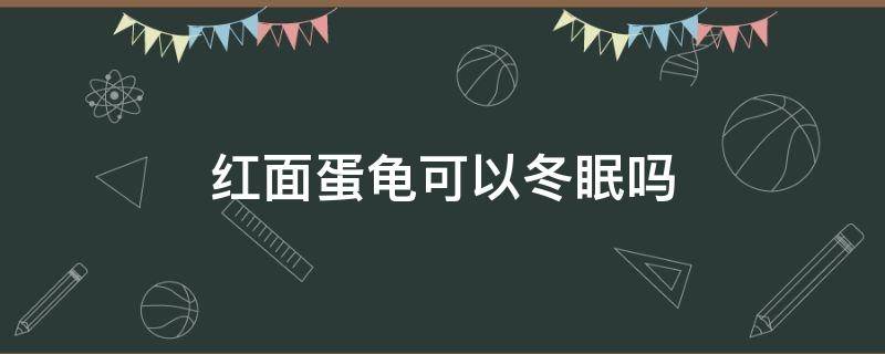 红面蛋龟可以冬眠吗（红面蛋龟怎么过冬）