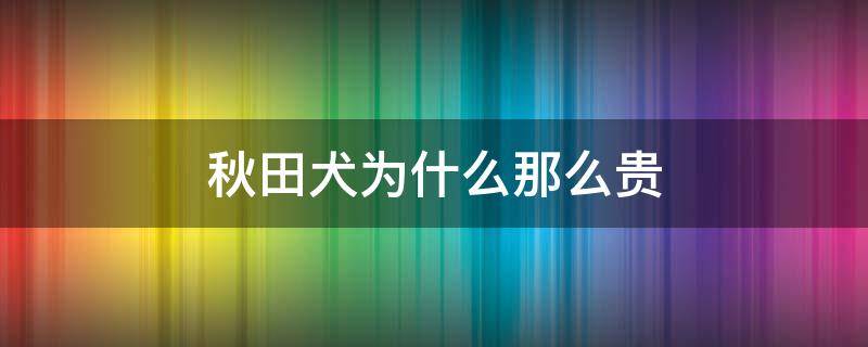 秋田犬为什么那么贵 秋田犬为什么这么贵