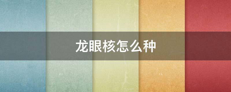 龙眼核怎么种（龙眼核怎么种出龙眼树）