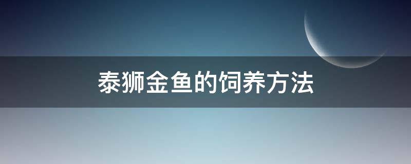 泰狮金鱼的饲养方法 泰狮金鱼的饲养方法养还是兰寿好养