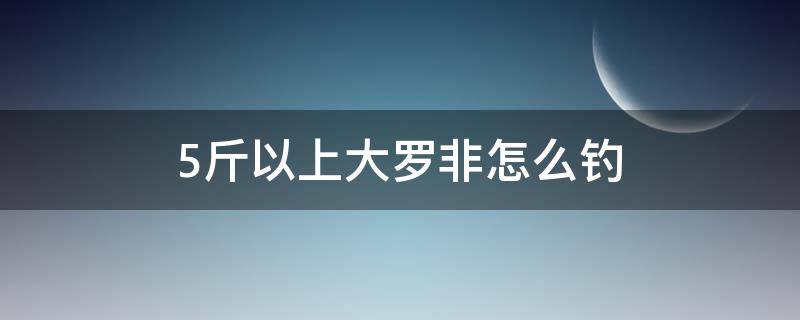 5斤以上大罗非怎么钓 半斤以上的罗非用什么钓