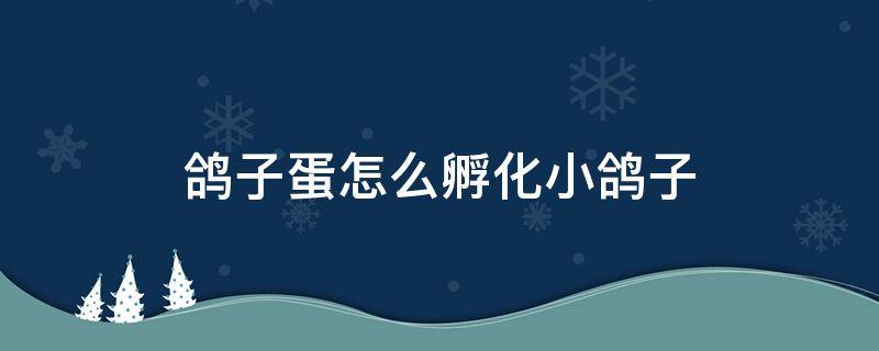 鸽子蛋怎么孵化小鸽子 鸽子蛋该怎么孵化