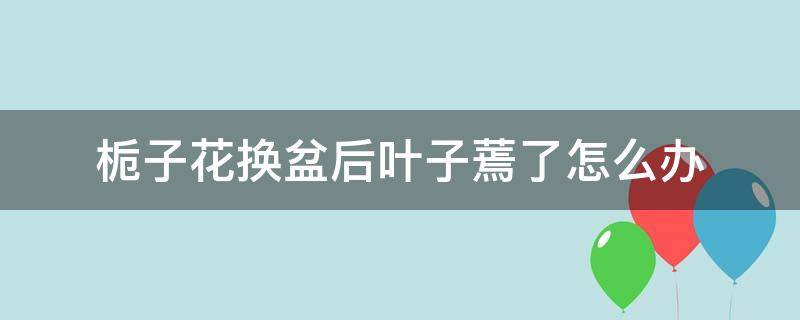 栀子花换盆后叶子蔫了怎么办（栀子花换完盆蔫了怎么办）