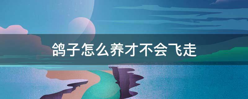 鸽子怎么养才不会飞走 怎样养小鸽子才不会飞走