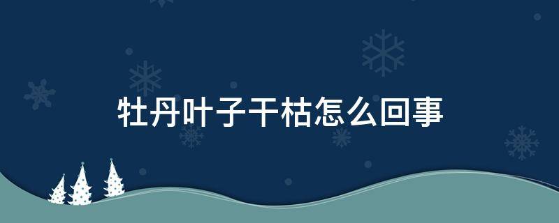 牡丹叶子干枯怎么回事 牡丹叶子发黄干枯怎么回事