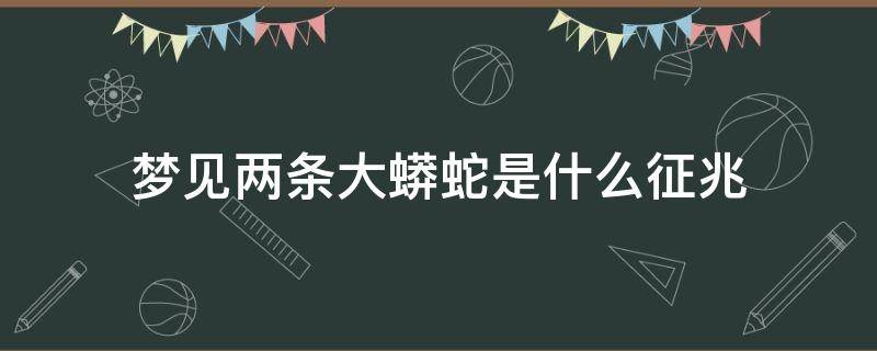 梦见两条大蟒蛇是什么征兆 男人梦见两条大蟒蛇是什么征兆