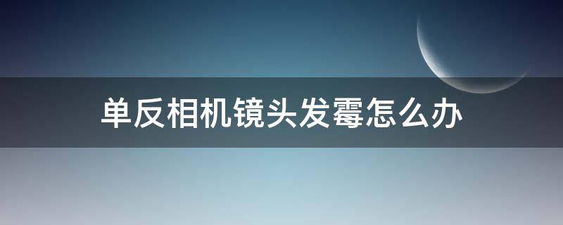 单反相机镜头发霉怎么办（单反镜头发霉怎么处理）