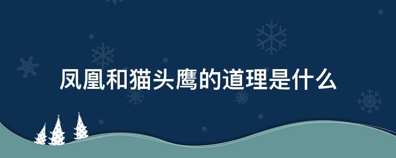 凤凰和猫头鹰的道理是什么