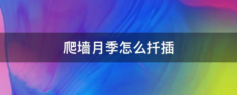 爬墙月季怎么扦插 爬墙月季花怎样插枝