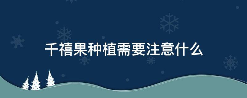 千禧果种植需要注意什么 千禧果苗怎么种植