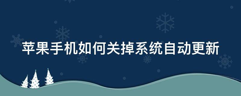 苹果手机如何关掉系统自动更新（苹果手机如何关掉系统自动更新功能）