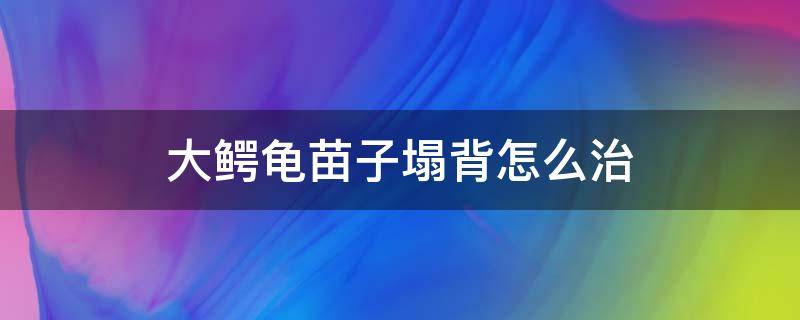 大鳄龟苗子塌背怎么治 鳄龟塌背如何治疗