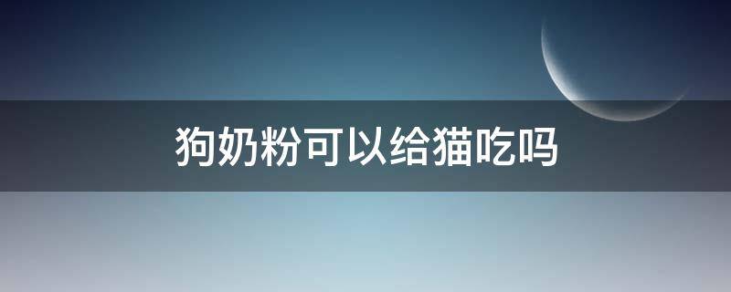 狗奶粉可以给猫吃吗 猫奶粉可以给狗宝宝吃吗