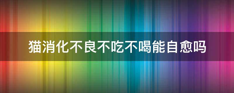 猫消化不良不吃不喝能自愈吗（猫消化不良不吃不喝怎么办）