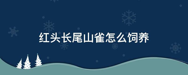 红头长尾山雀怎么饲养 红头长尾山雀怎么饲养视频